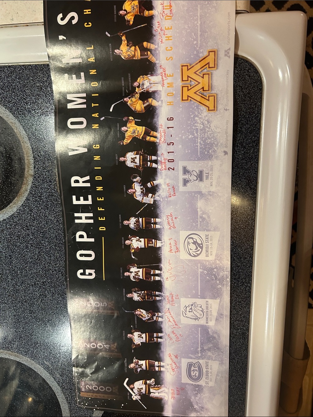 Minnesota Golden Gophers Hockey Team Poster - Black & Gold